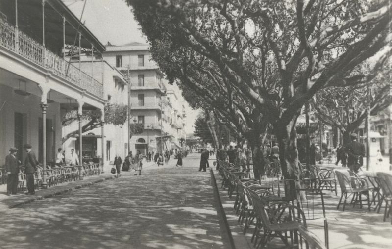 Photo M. Roland Camilleri