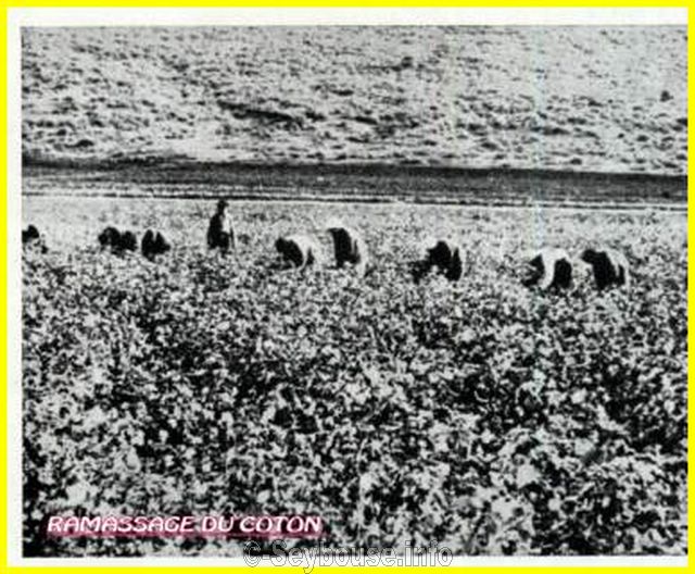 Photo envoye par M. Ciantar