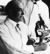 http://webext.pasteur.fr/archives/im/ser.jpg