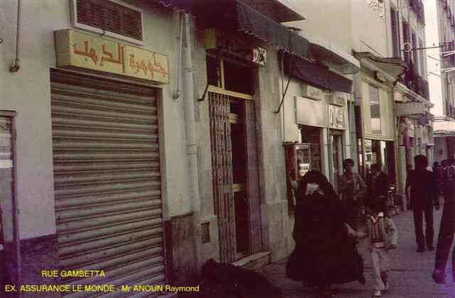 Photo M. J.P. Daubze