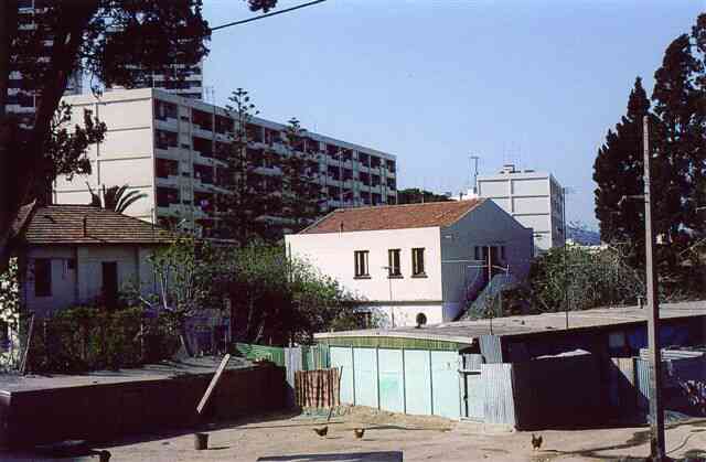 Photo M. J.P. Daubze
