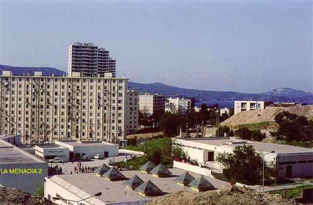 Photo M. J.P. Daubze