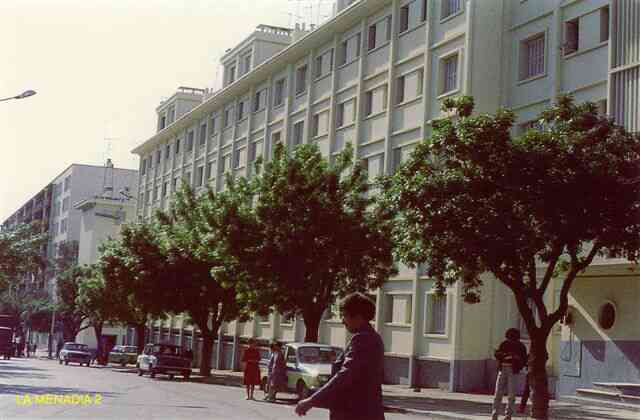 Photo M. J.P. Daubze